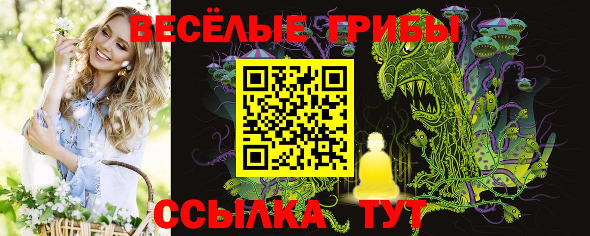 Псилоцибиновые грибы Magic Shrooms Муравленко